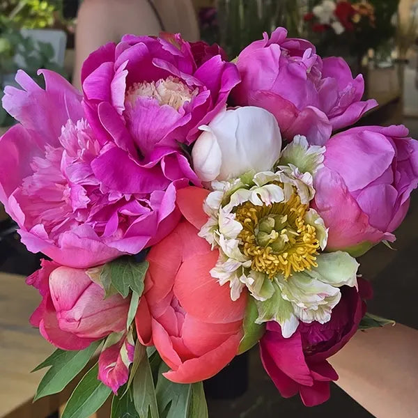 Bouquet de fleurs locales comme les pivoines