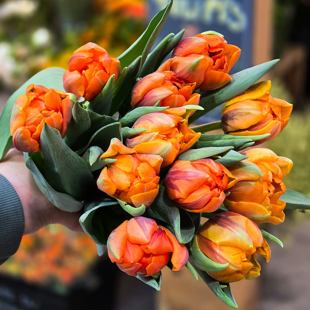 Bouquet de saison avec des fleurs locales du Québec