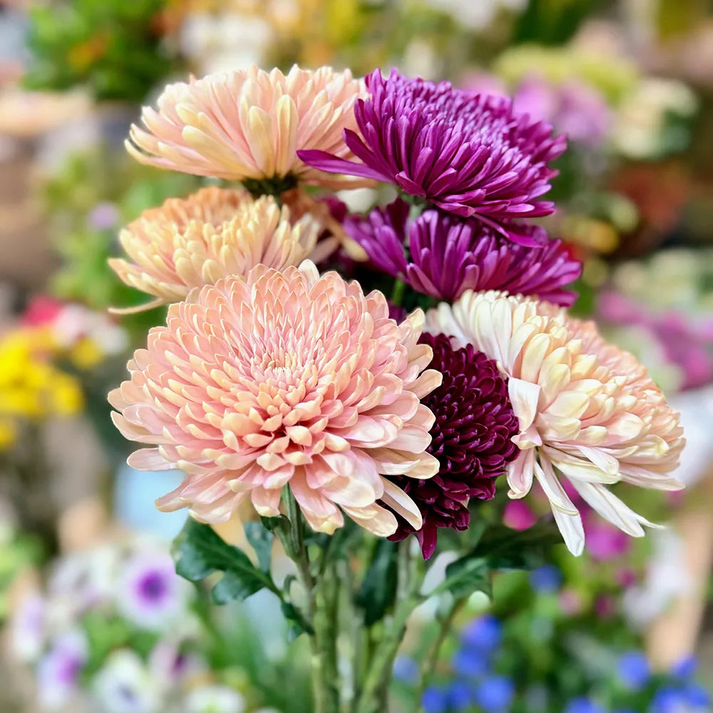 Photo fleurs boutique Binette et filles