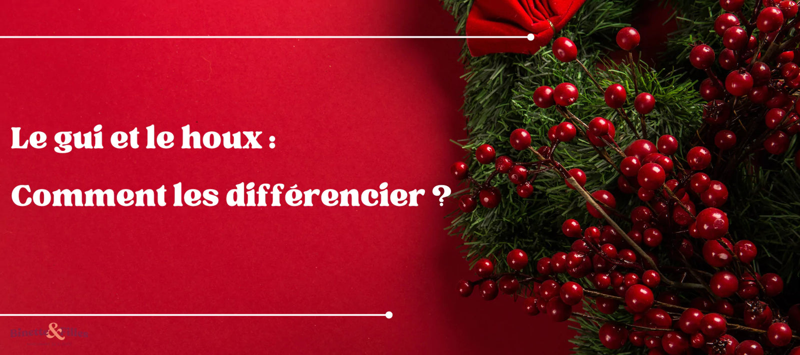 Le gui et le houx : comment les différencier ? | Fleuriste Binette & Filles - Montréal