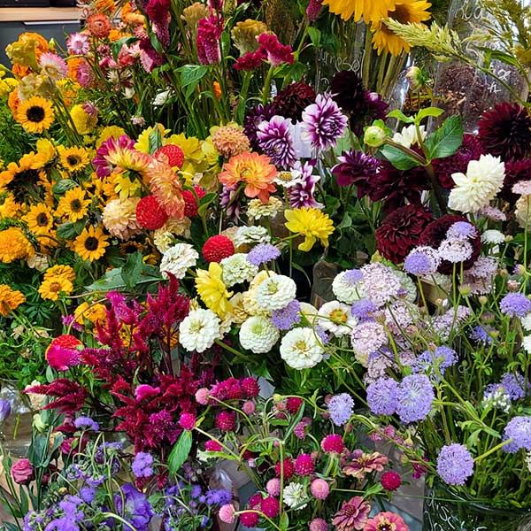 Bouquets de Fleurs du Québec - Fleuriste Binette et filles - Montréal