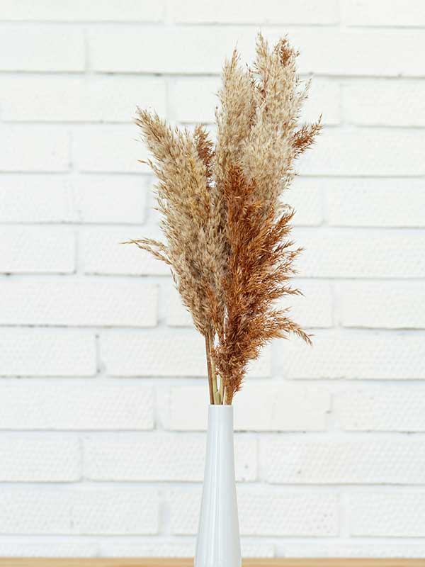 Bouquets de fleurs séchées - Fleuriste Binette et filles - Montréal