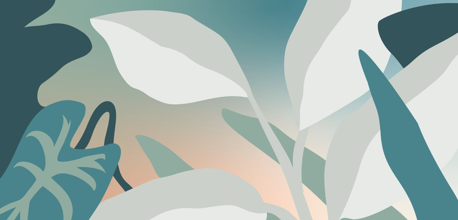 Plantes d'intérieur - Fleuriste Binette et filles - Montréal