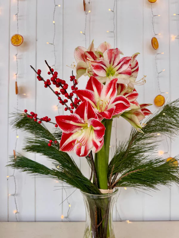 Bouquet d&#39;Amaryllis - Fleuriste Binette &amp; Filles - Montréal