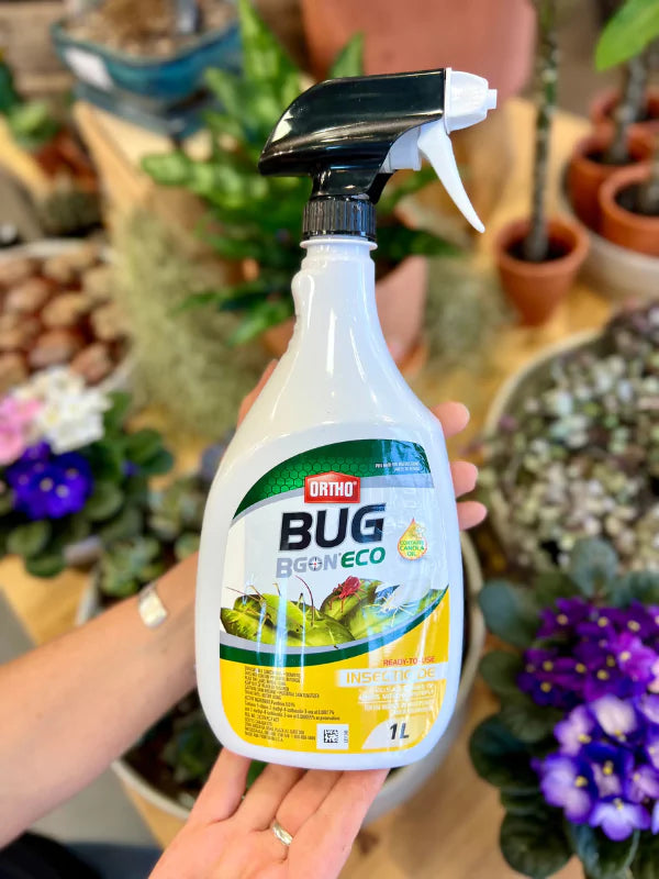 Bug B Gon - Insecticide prêt-à-l&#39;emploi - Fleuriste Binette &amp; Filles - Montréal