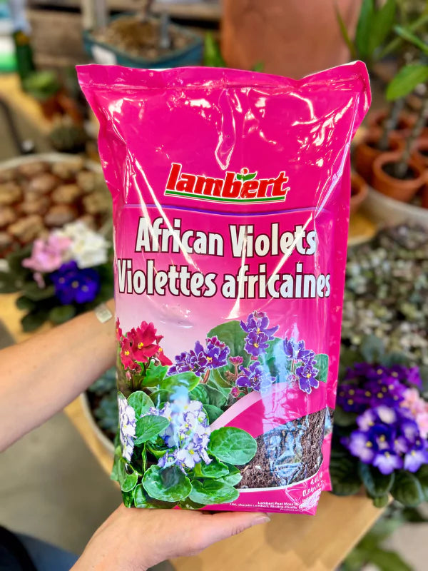 Terreau pour Violettes africaines - Fleuriste Binette & Filles - Marché Jean-Talon