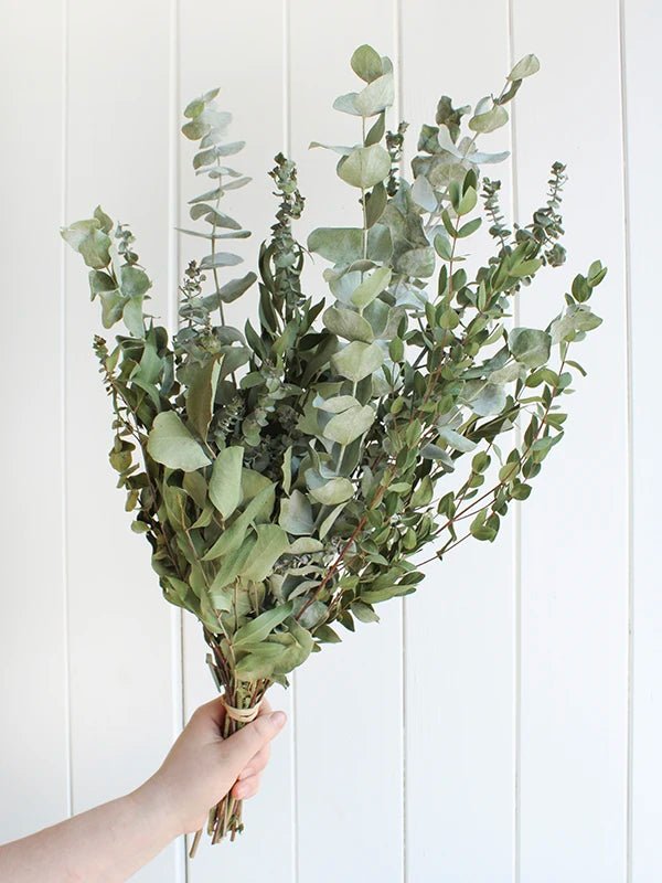 Bouquet d' eucalyptus séché - Fleuriste Binette et filles - Montréal Montréal