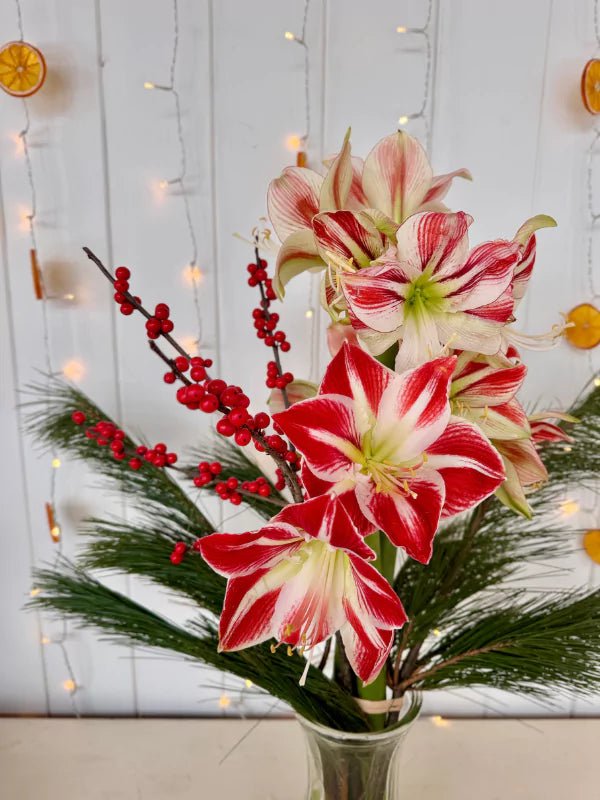 Bouquet d'Amaryllis - Fleuriste Binette et filles - Montréal Montréal