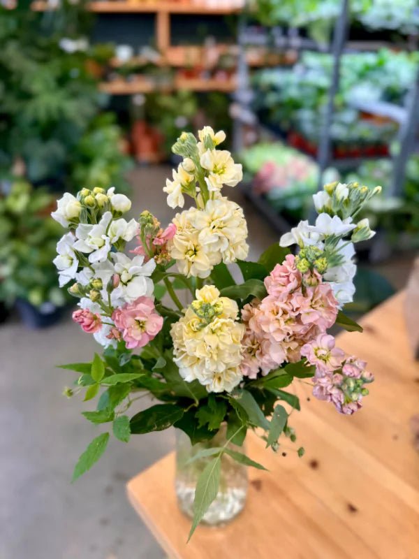 Bouquet de Giroflées du Québec - Fleuriste Binette et filles - Montréal Montréal