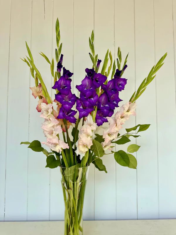 Bouquet de Glaïeuls du Québec - Fleuriste Binette et filles - Montréal Montréal