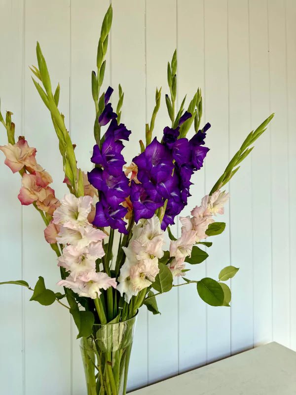 Bouquet de Glaïeuls du Québec - Fleuriste Binette et filles - Montréal Montréal