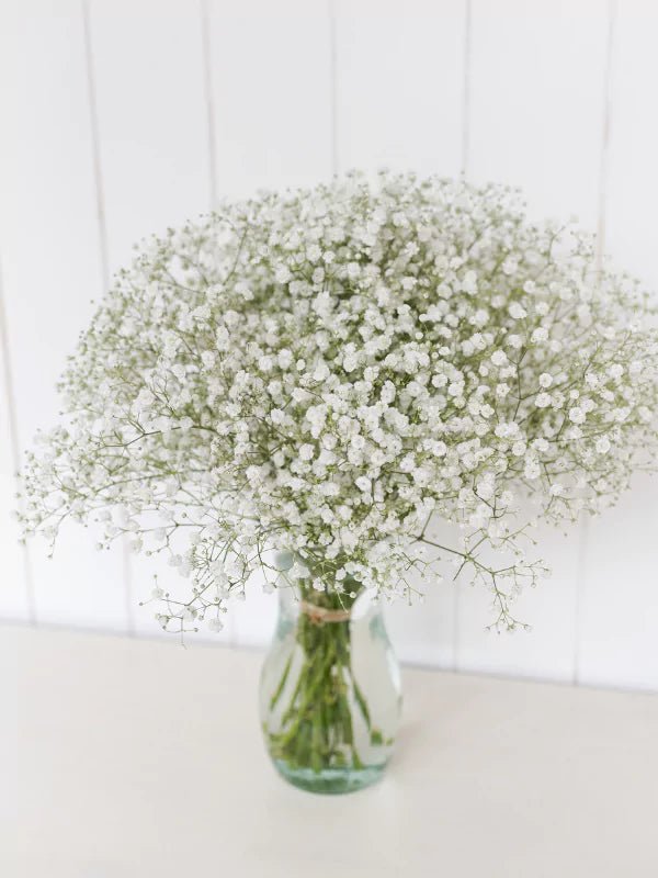 Bouquet de Gypsophile - Fleuriste Binette et filles - Montréal Montréal