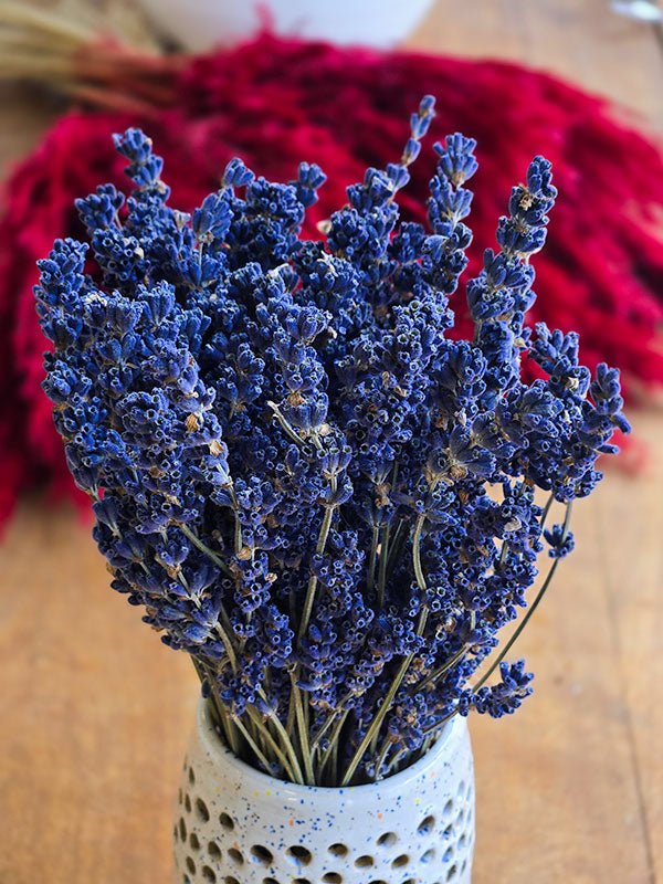 Bouquet de lavande séchée - Fleuriste Binette et filles - Montréal Montréal