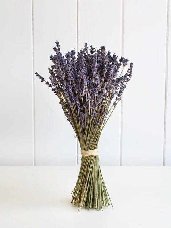 Bouquet de lavande séchée - Fleuriste Binette et filles - Montréal Montréal