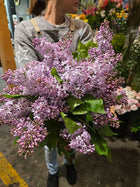 Bouquet de lilas local - Fleuriste Binette et filles - Montréal Montréal — photo 1