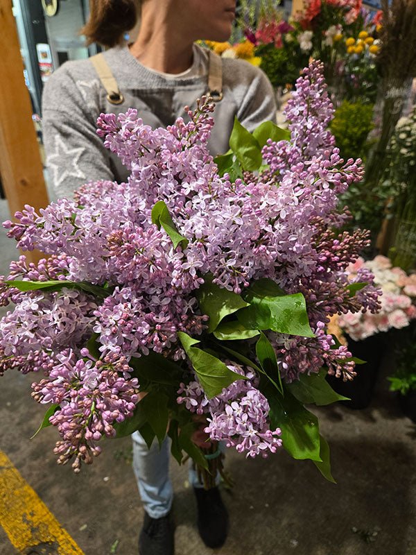 Bouquet de lilas local - Fleuriste Binette et filles - Montréal Montréal