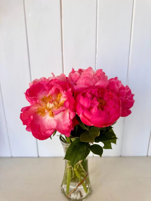 Bouquet de Pivoines - Fleuriste Binette et filles - Montréal Montréal