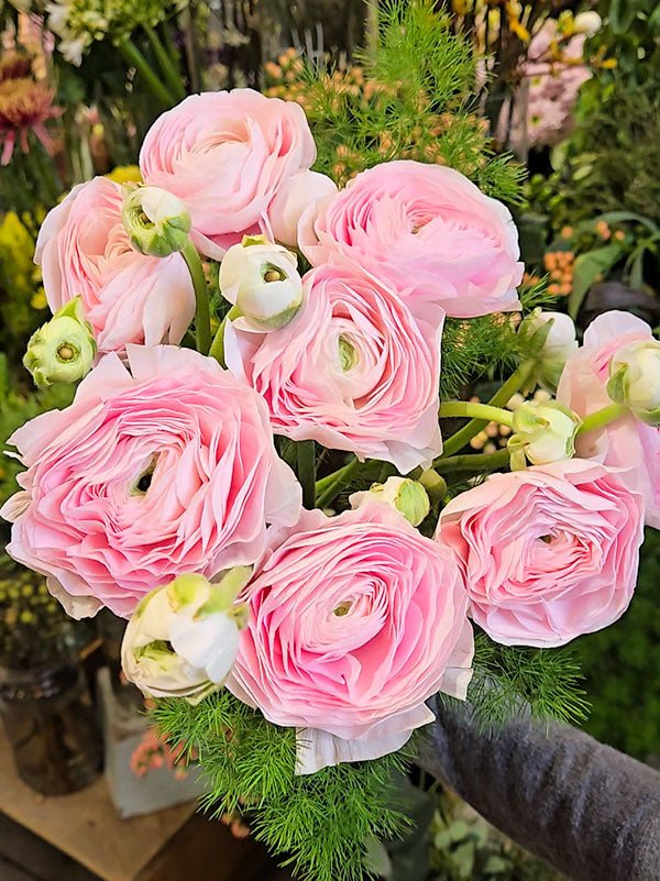 Bouquet de renoncules - Fleuriste Binette et filles - Montréal Montréal