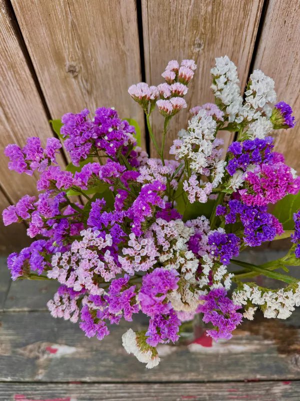 Bouquet de Statice du Québec - Fleuriste Binette et filles - Montréal Montréal