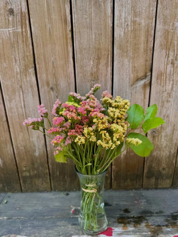 Bouquet de Statice du Québec - Fleuriste Binette et filles - Montréal Montréal