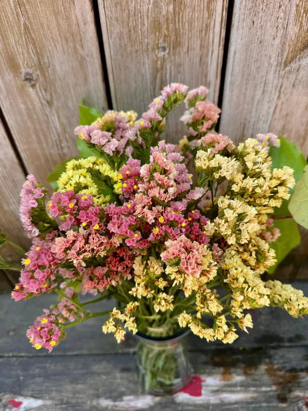 Bouquet de Statice du Québec - Fleuriste Binette et filles - Montréal Montréal