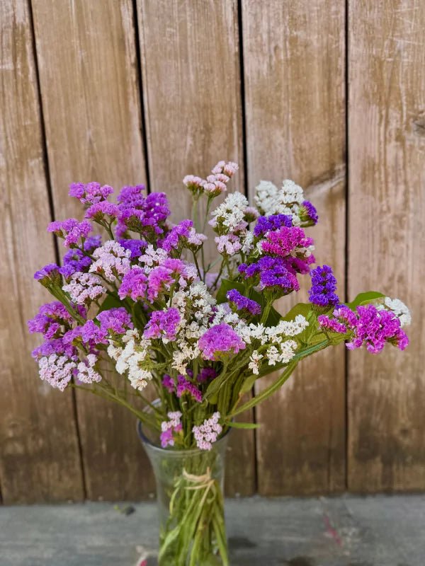 Bouquet de Statice du Québec - Fleuriste Binette et filles - Montréal Montréal