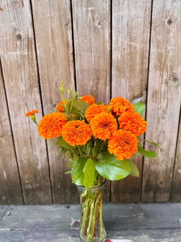 Bouquet de Tagètes du Québec - Fleuriste Binette et filles - Montréal Montréal
