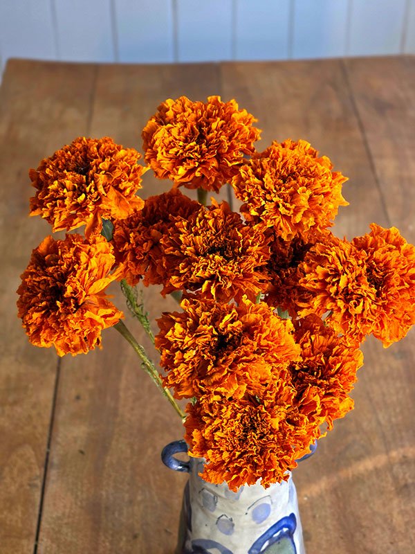 Bouquet de tagètes séchées du Québec - Fleuriste Binette et filles - Montréal Montréal