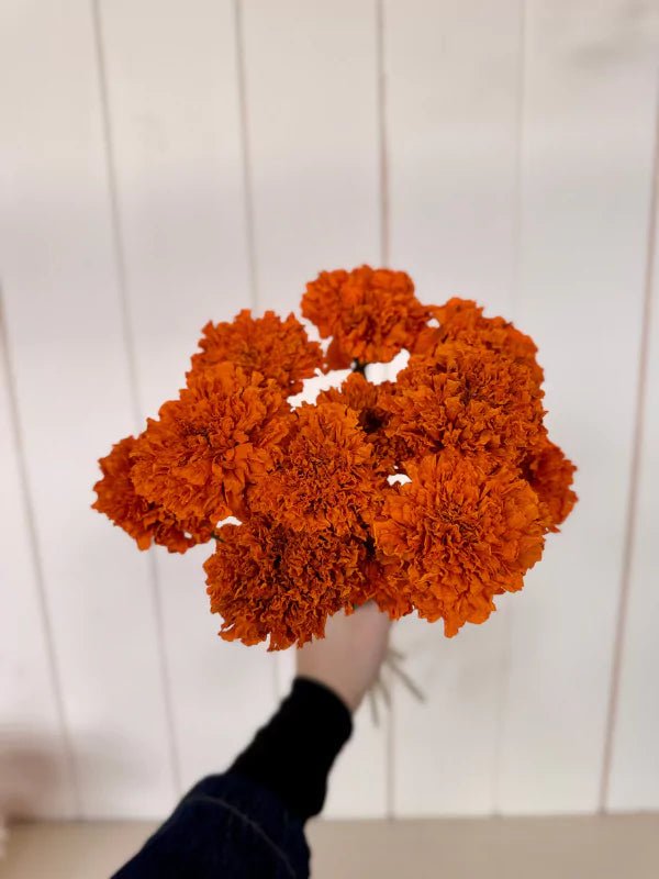 Bouquet de tagètes séchées du Québec - Fleuriste Binette et filles - Montréal Montréal