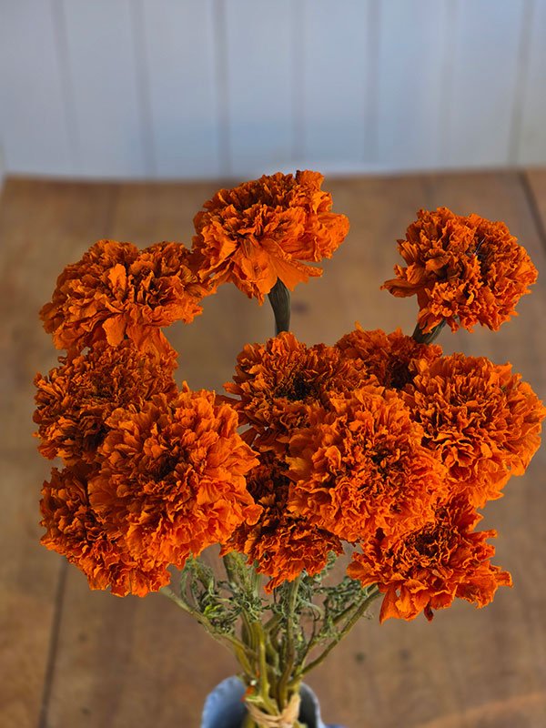 Bouquet de tagètes séchées du Québec - Fleuriste Binette et filles - Montréal Montréal