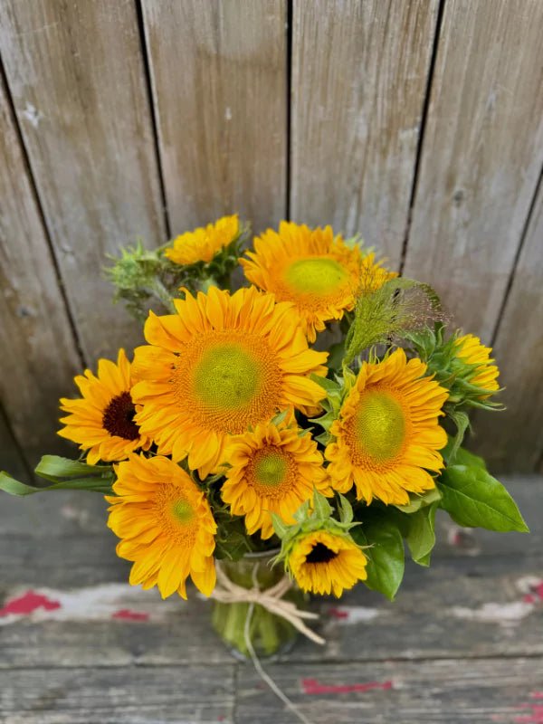 Bouquet de Tournesols du Québec - Fleuriste Binette et filles - Montréal Montréal