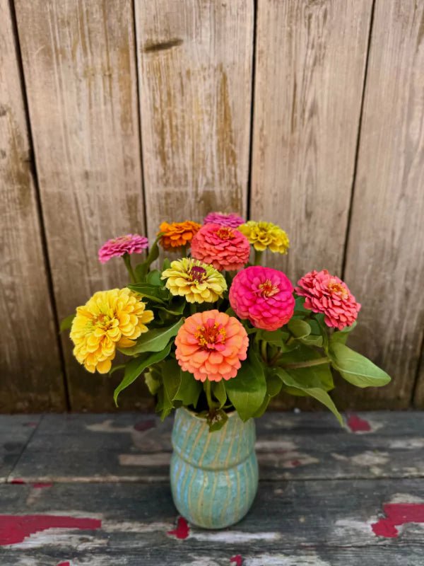 Bouquet de Zinnias du Québec - Fleuriste Binette et filles - Montréal Montréal