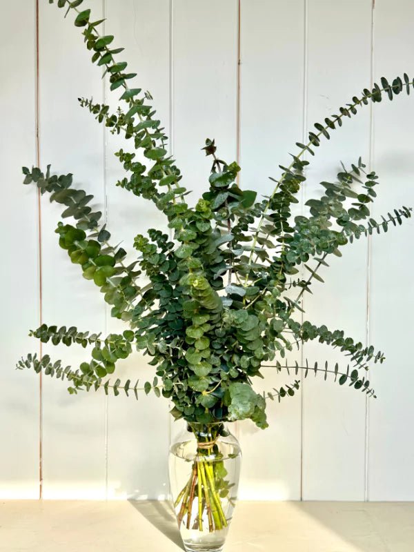 Bouquet d'Eucalyptus - Fleuriste Binette et filles - Montréal Montréal