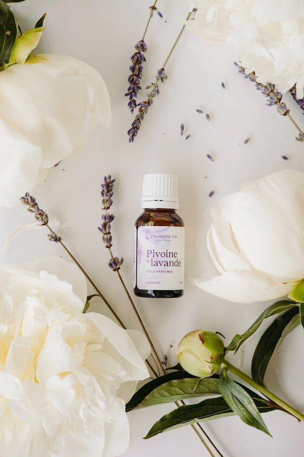Huile parfumée Pivoine et lavande - Fleuriste Binette et filles - Montréal Montréal
