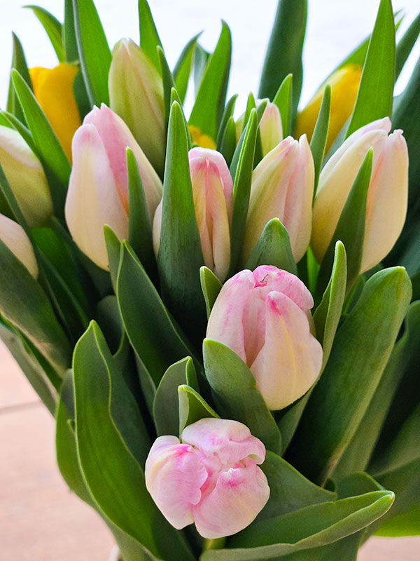 bouquet de tulipes locales