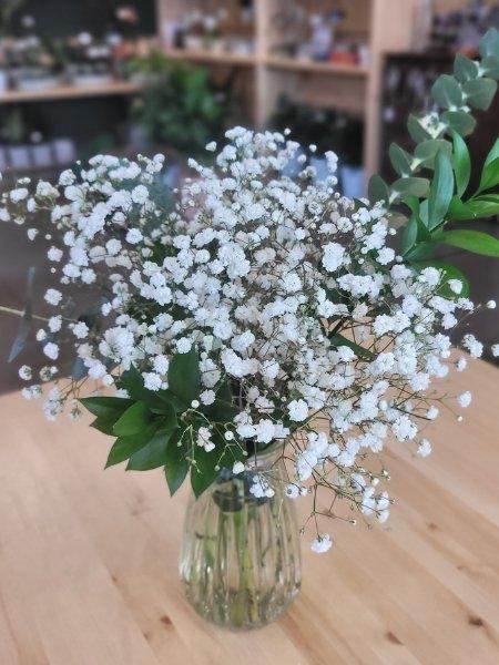 Bouquet de gypsophiles - Fleuriste Binette et filles - Montréal Montréal